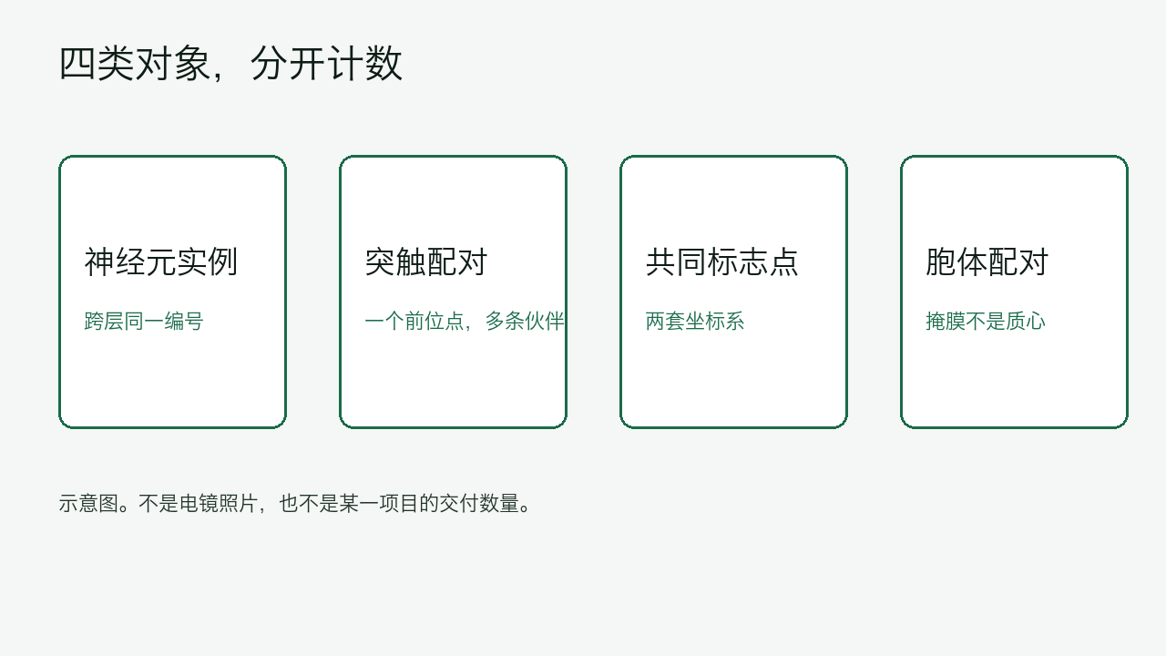 四类标注对象的示意图：神经元实例、突触配对、共同标志点和胞体配对，彼此分开计数