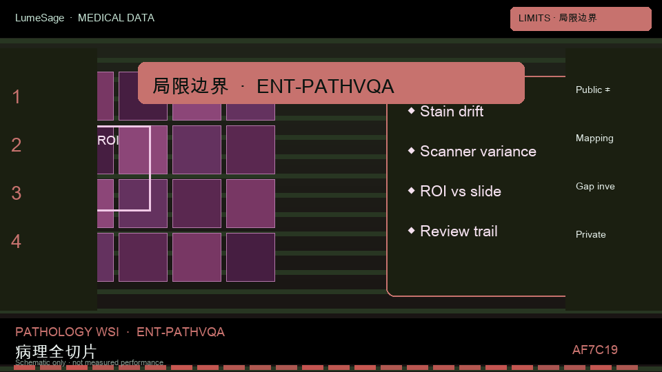 PathVQA｜局限与私有映射：从公开评测到 GB-Vision 可合同门禁