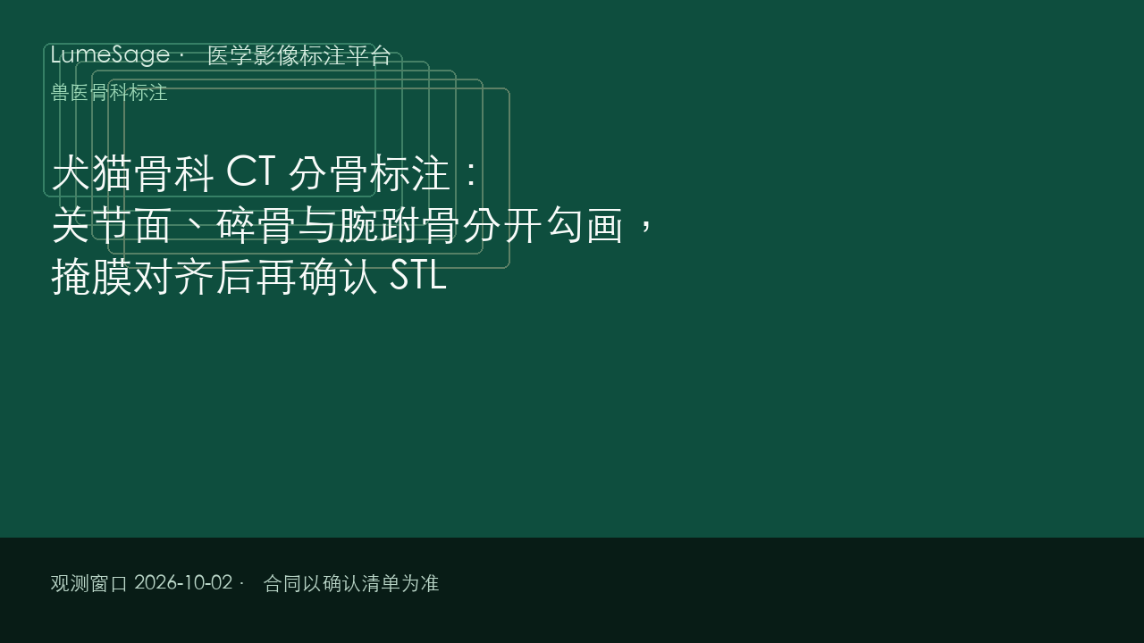 犬猫骨科 CT 分骨标注：关节面、碎骨与腕跗骨分开勾画，掩膜对齐后再确认 STL